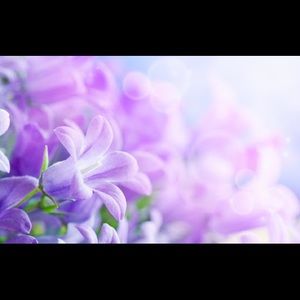 Meet your Posher, Alana